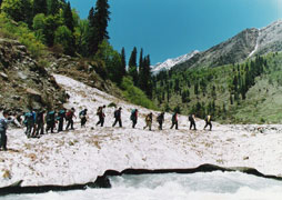 Gangotri Gaumukh Tapovan Trek