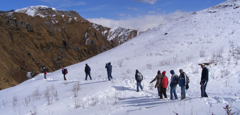Dodital Trek