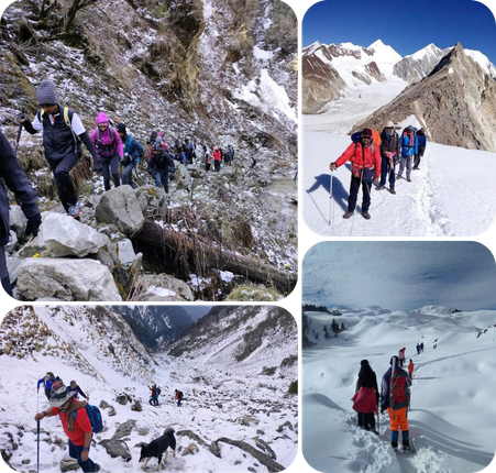 Welcome to Himalayan View